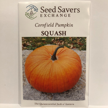 Cornfield Pumpkin, 1984 Favorite